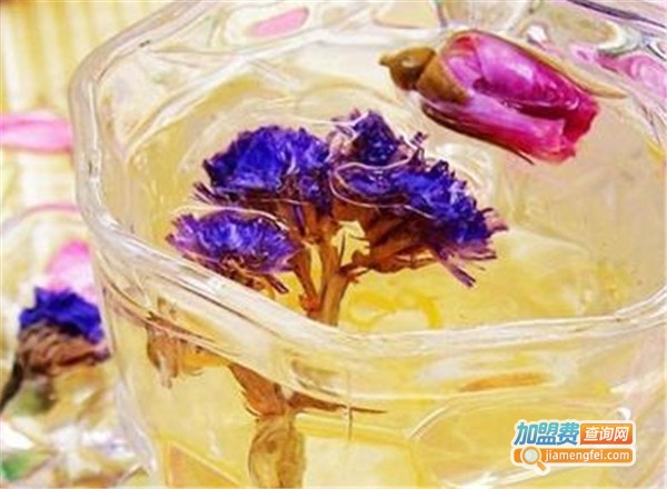 怀素堂花草茶加盟费