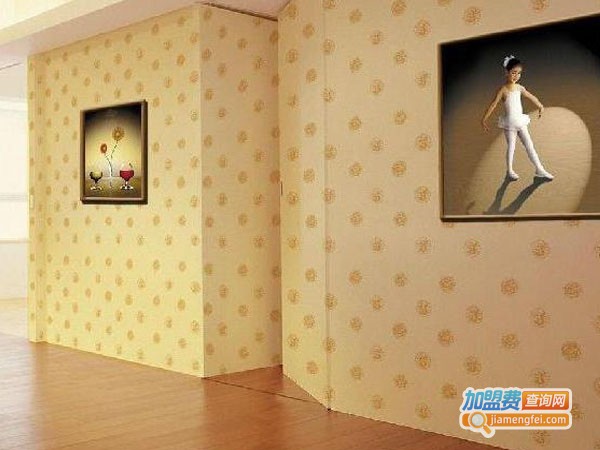 帝郡液体壁纸加盟费