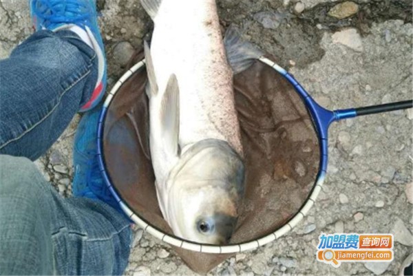 富源百川渔具加盟费