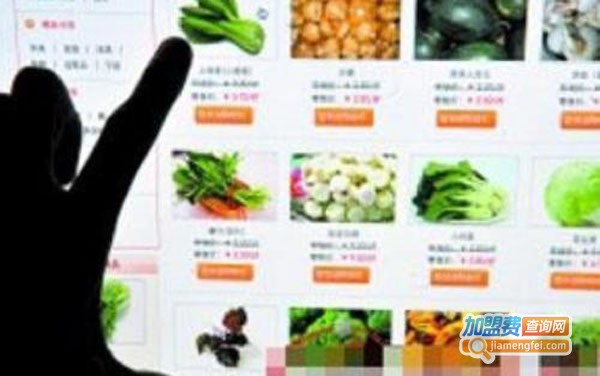 网上菜市场加盟费