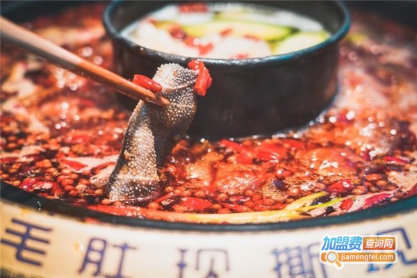 洞子毛肚火锅加盟费