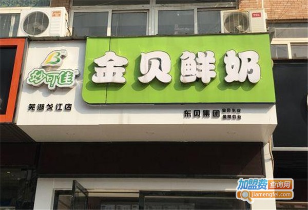 金贝鲜奶加盟费