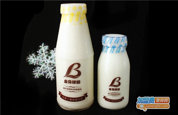 金贝鲜奶加盟费