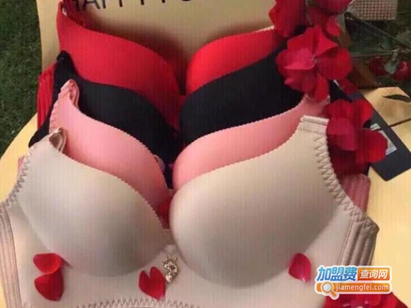 幸福狐狸加盟费