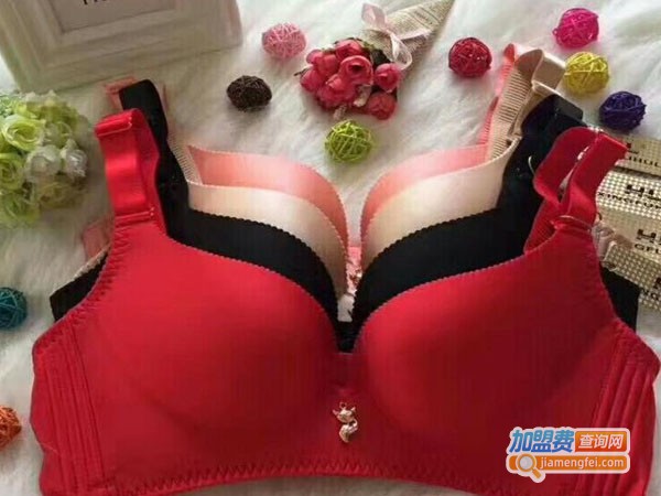 幸福狐狸加盟费