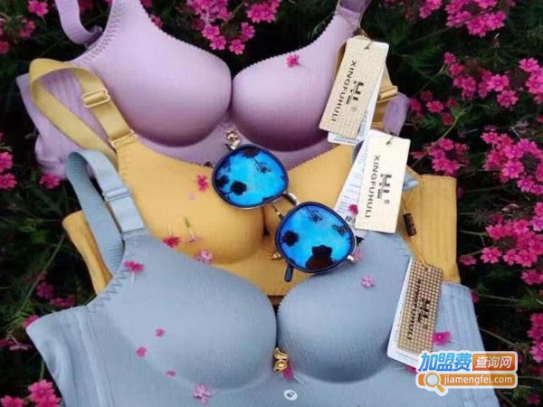 幸福狐狸加盟费