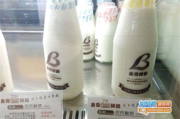 金贝鲜奶加盟费