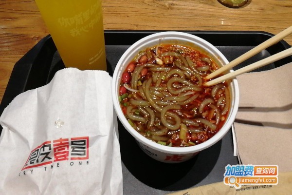 良皮壹号加盟费