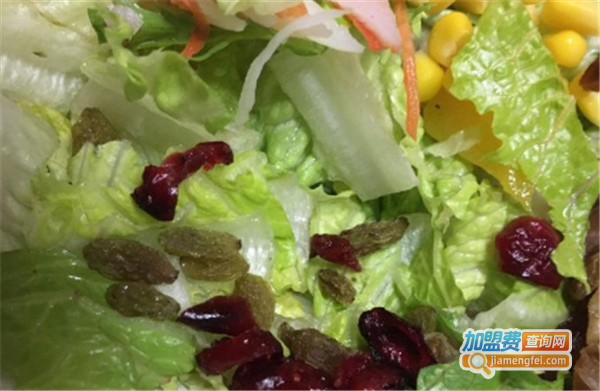 千色色沙拉加盟费