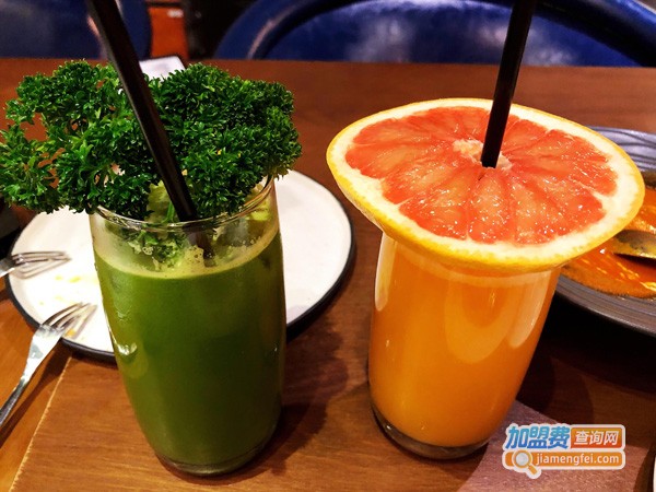 TGS蒂歌斯加盟费