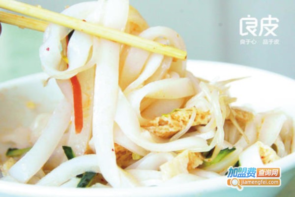 良皮壹号加盟费