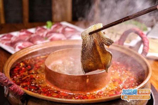 理涛火锅加盟费