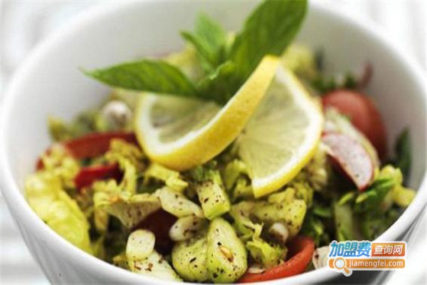 沙拉密语加盟费