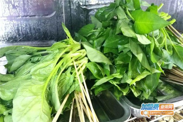 狼串天下加盟费