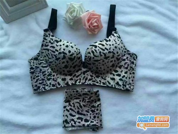 她唯内衣加盟费