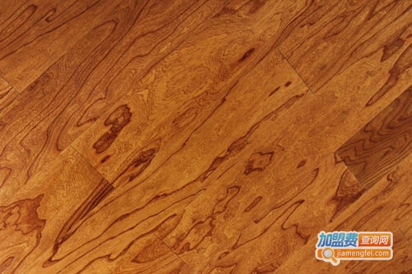 韦度地板加盟费