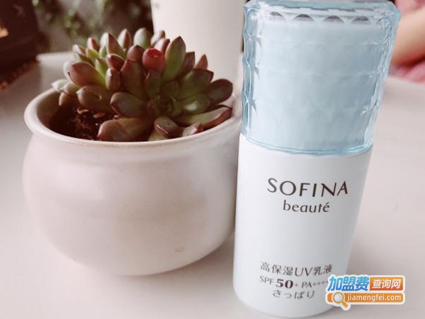 苏菲娜护肤品加盟费