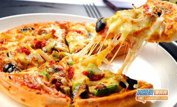 萨不住闸披萨加盟费