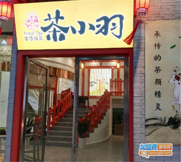 茶小羽加盟费