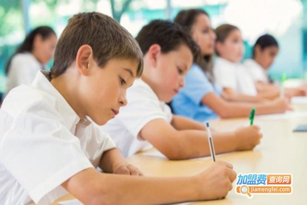 新思度教育加盟费