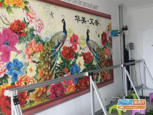 华美艾普加盟费