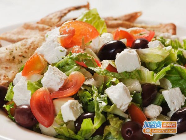 沙拉嘿呦加盟费