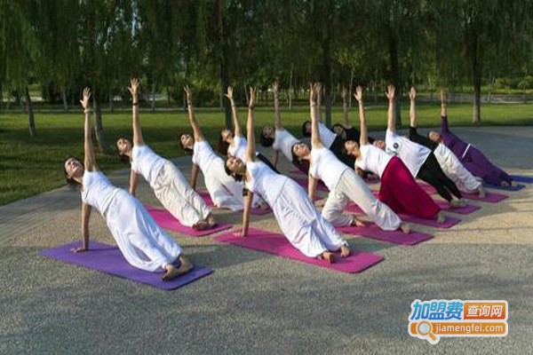 禅韵瑜伽加盟费