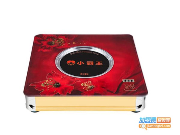 小霸王厨卫电器