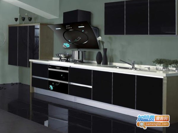 邦隆厨卫电器加盟店