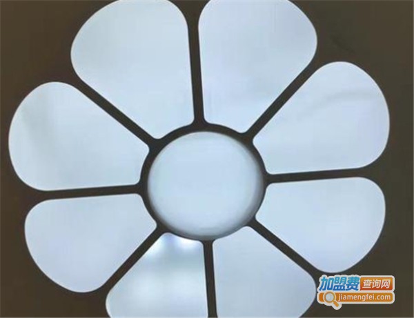 亿家灯饰加盟费