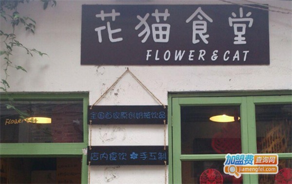 花猫食堂加盟费