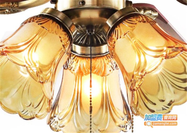 异朵灯饰加盟费