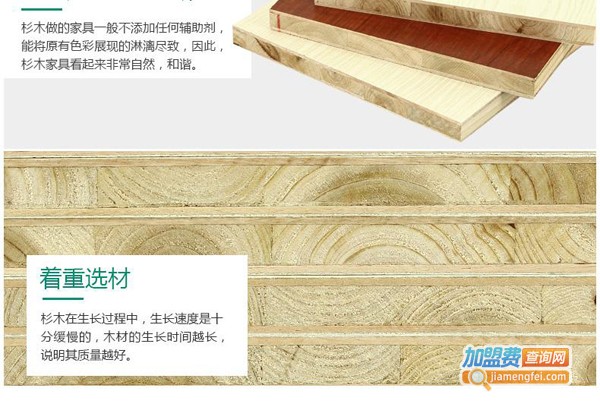 兔宝宝家具加盟费