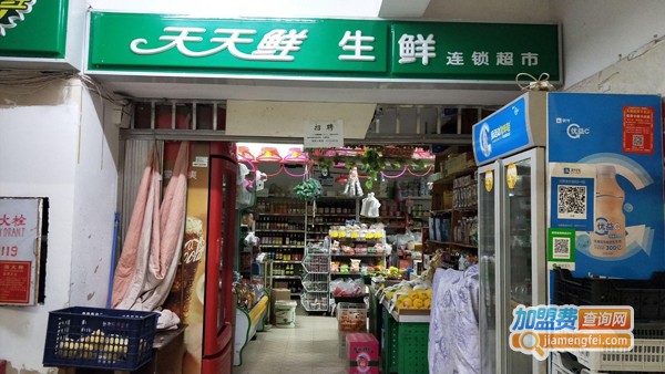 天天鲜超市加盟费