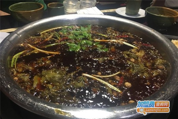 陈邦耗儿鱼加盟费