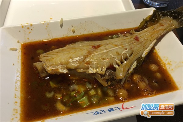 七秒记忆耗儿鱼加盟费