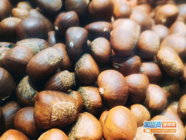 小柯油栗