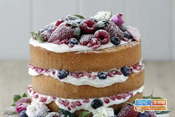 桃乐思蛋糕加盟费