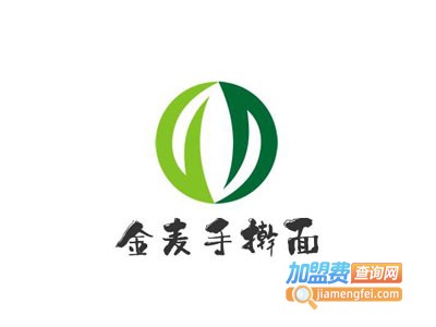 金麦手擀面加盟费
