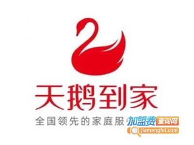 天鹅到家加盟