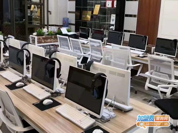 晓果智学ai人工智能教育