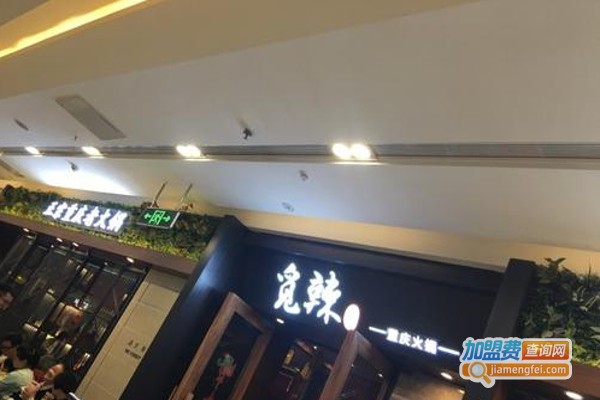 觅辣火锅加盟费