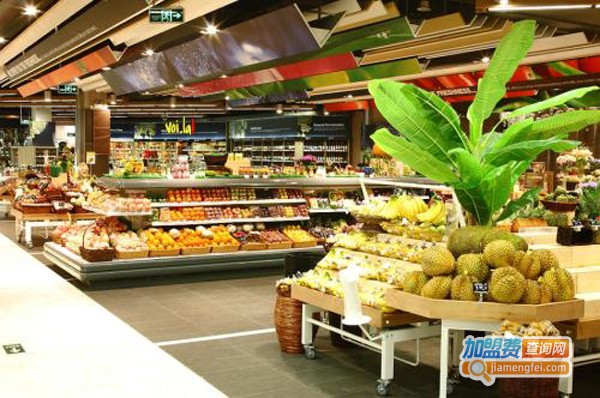 水果玩家加盟费