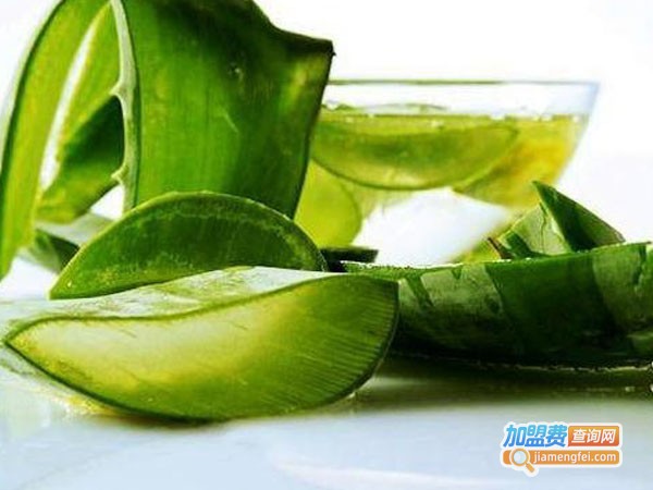 秀靓植物祛斑加盟费