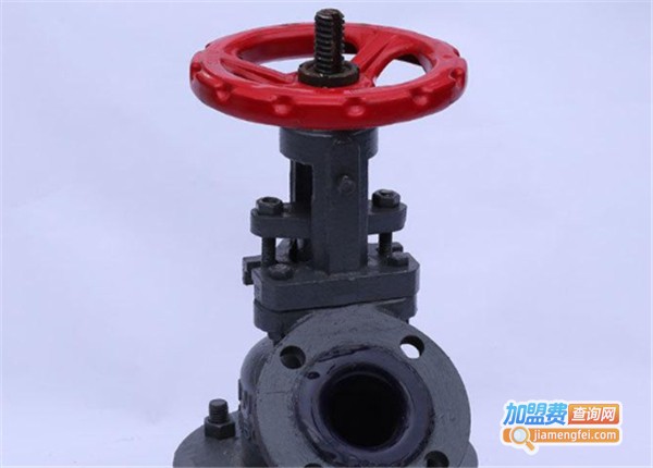 罗坦夫阀门加盟费