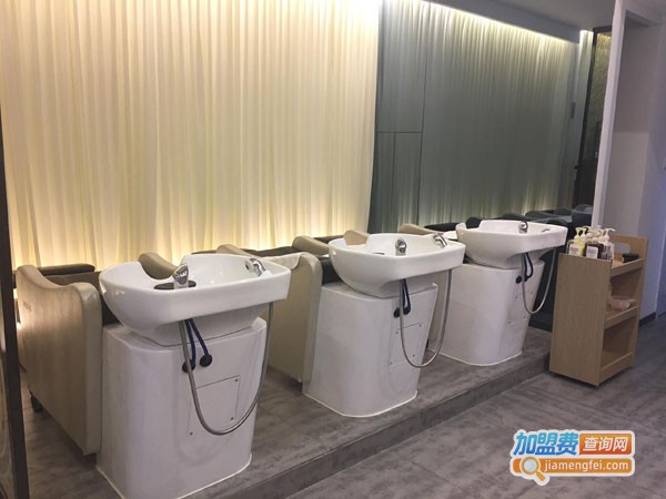 蜂芝堂头部养生汤加盟费