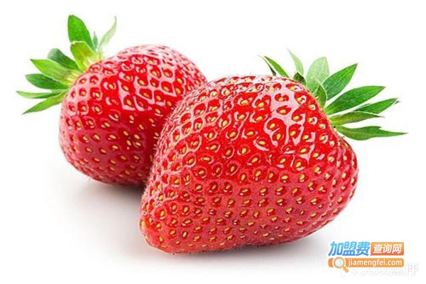 乐信家果品仓储加盟费