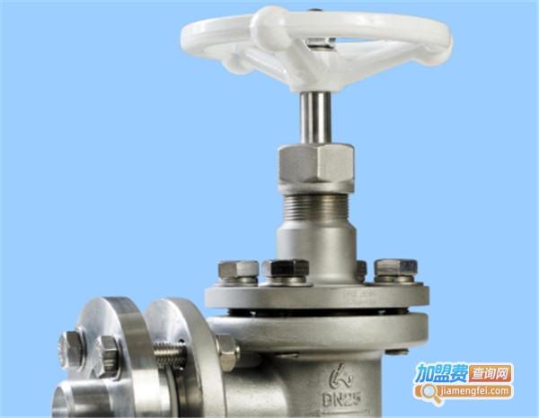 罗坦夫阀门加盟费