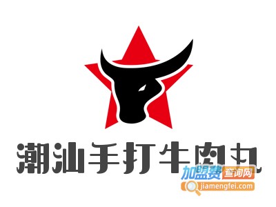 潮汕手打牛肉丸