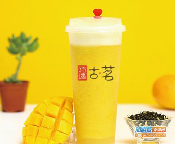 巧遇古茗加盟费